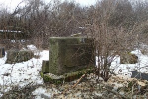 21 Zima na hřbitově ve Svatoboru      